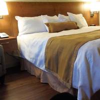 Rosslyn Inn And Suites