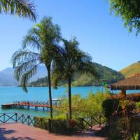 Pestana Palms
