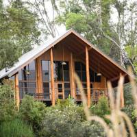 The Canopy Rainforest Treehouses and Wildlife Sanctuary