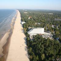 Baltic Beach Amber