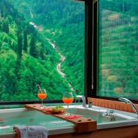 Ayder Villa de Pelit Hotel