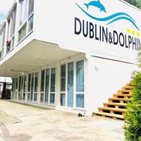 Дублин и Дельфин Отель (Dublin & Dolphin Hotel)