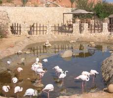 зоопарк