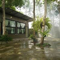 Duangdee Room