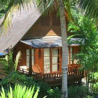 Green Papaya Resort