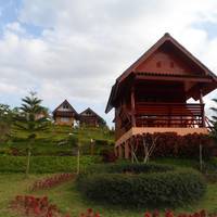 Khao Kho Flora