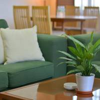 The Maple Suite