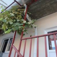 Гостевой дом Алиса