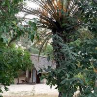 Bamboo Club