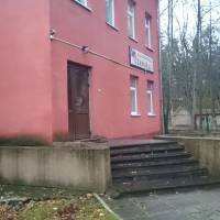 Старый дуб