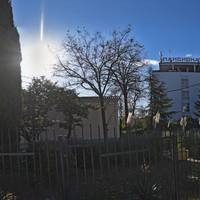 Платан