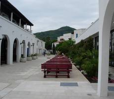 Aleksandar1