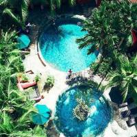 PinkCoco Bali - for Cool Adults Only