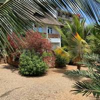 Royal Palm Kendwa
