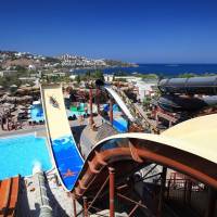 Cactus Mirage Family Club