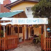 Blue Whale Rooms Mirissa