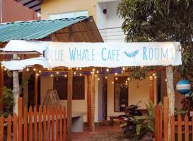 Blue Whale Rooms Mirissa
