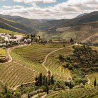 Quinta Nova - Luxury Winery House