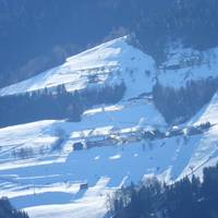 Kollerhof