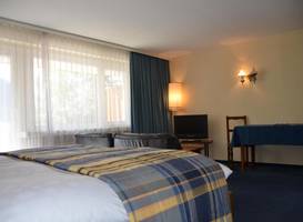 Hotel Regina Terme