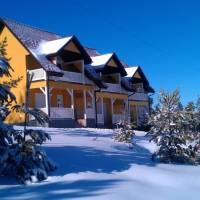 Villa Ducic