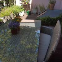 Hotel Birke