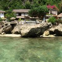 Rockn Reef