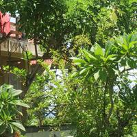 Amed Sari Beach Guesthouse