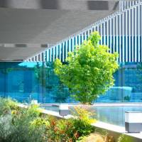 Santa Luzia ArtHotel