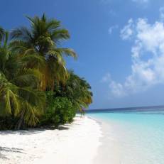 Equa Reef Maldives