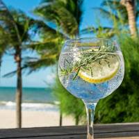 Beach Park Hotel - Oceani