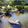 РУЧЕЕК С УТОЧКАМИ НА ТЕРИТОРИИ ОТЕЛЯ