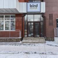 BIRD HOUSE
