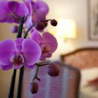 Hotel Victoria Eco