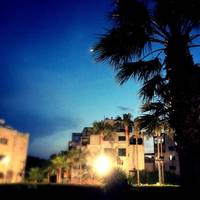 Blue Crane Hotel Apts(А)