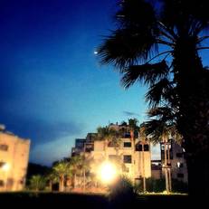 Blue Crane Hotel Apts(А)