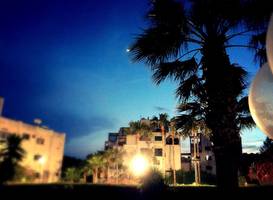 Blue Crane Hotel Apts(А)