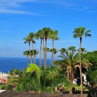 Villa Las Flores