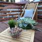 EcoSuite Apartments