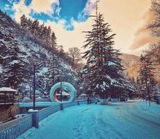 Holiday Borjomi