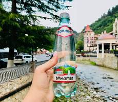 Holiday Borjomi