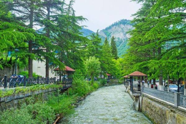 Holiday Borjomi