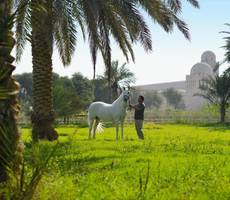 Al Samriya Hotel, Doha, Autograph Collection