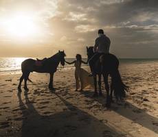 The Nest Boutique Resort