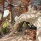 The Nest Boutique Resort