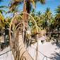 The Nest Boutique Resort