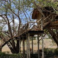 Antonio Beach Tree House Hotel & Spa
