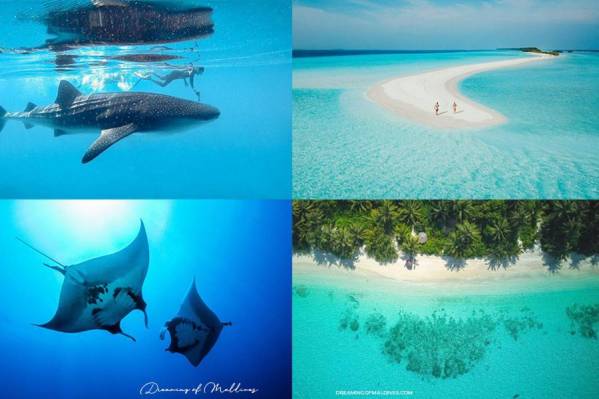 Nikabliss Dhigurah