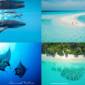 Nikabliss Dhigurah