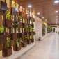 Evoke Premium Candolim